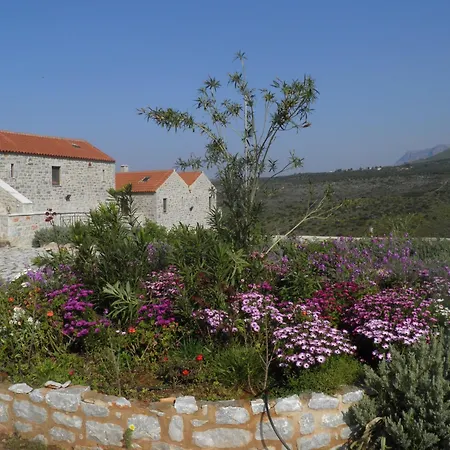Althea Village 4*