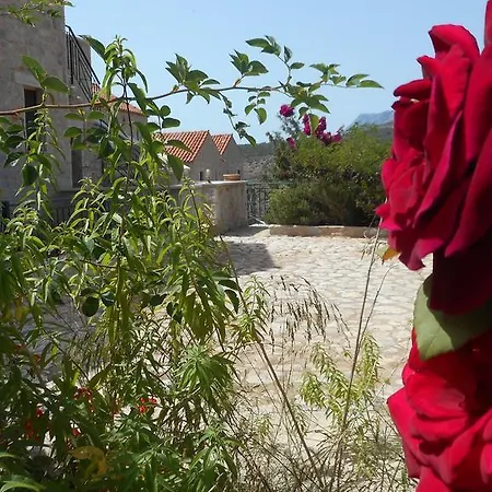 Ξενοδοχείο με διαμερίσματα Althea Village